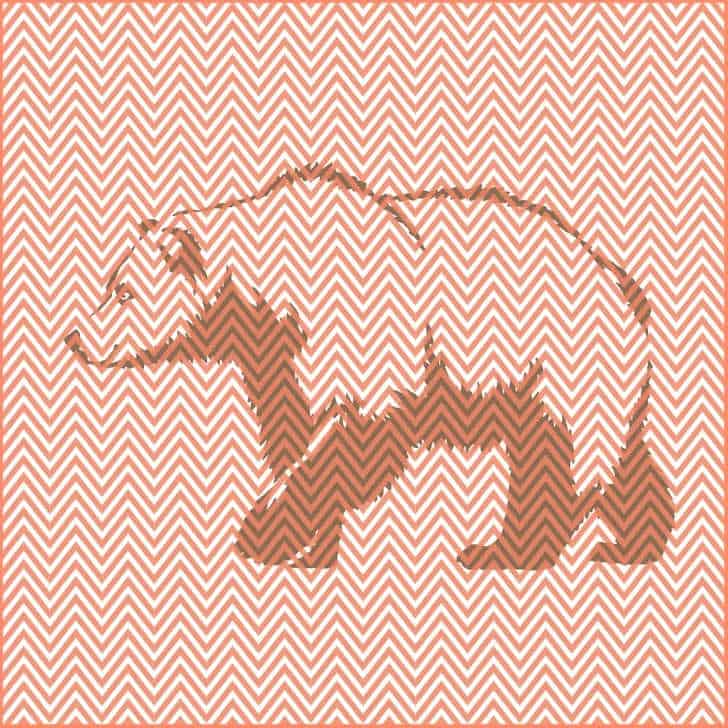 hidden animal solution